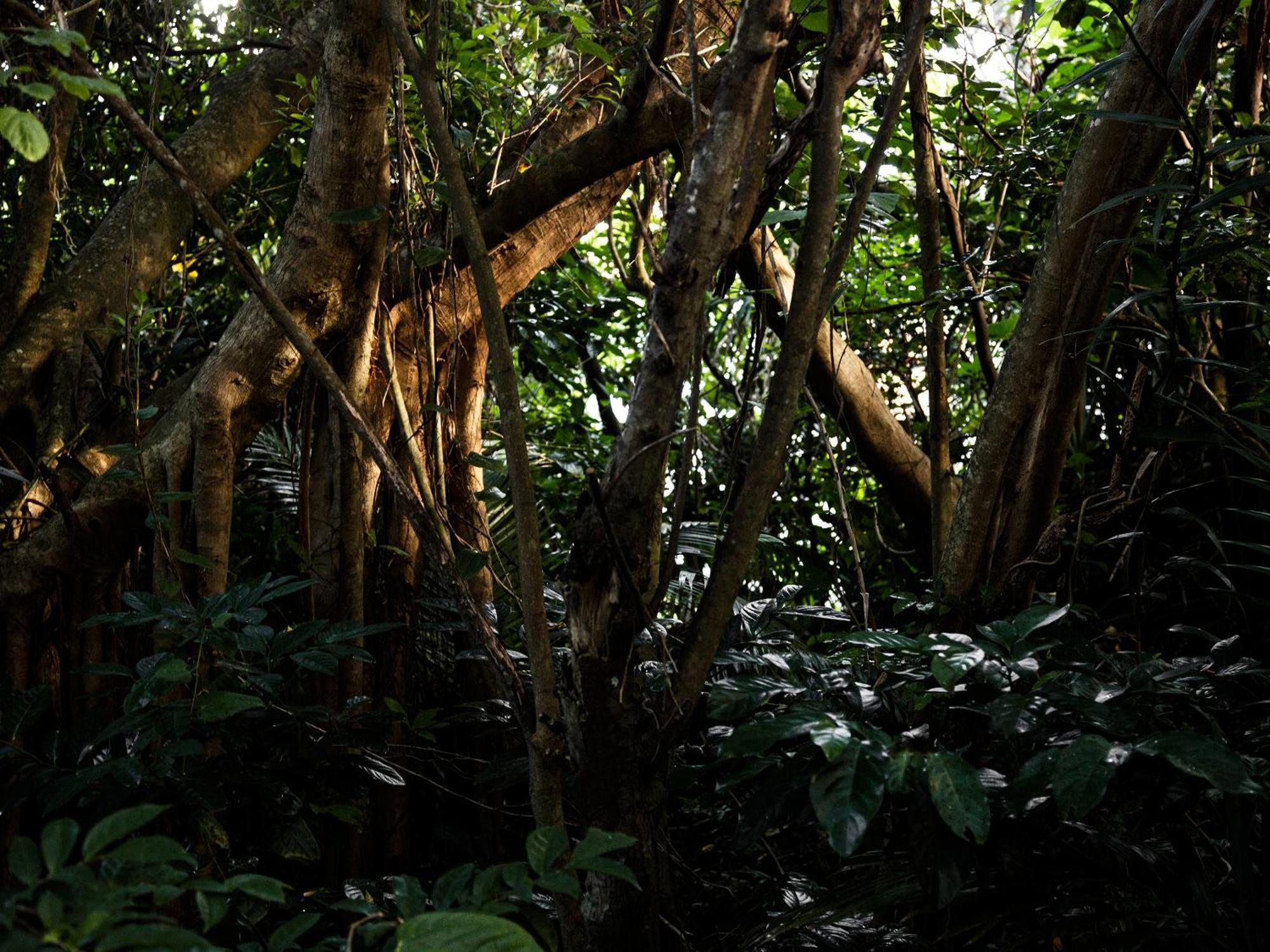Jusandi Ishigaki  Esterno foto